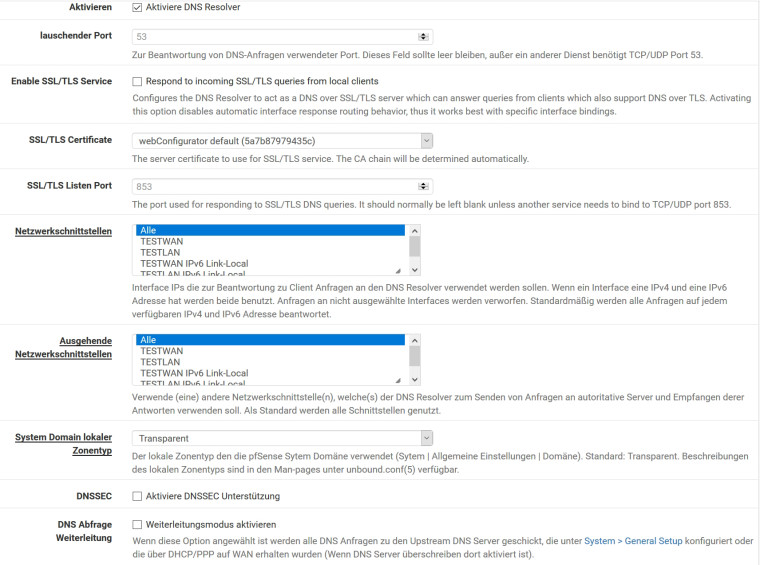 0_1540934417635_pfSense2 Unbound.jpg