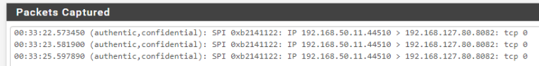 1_1547772896573_pfSense localdomain   Diagnostics  Packet Capture.png