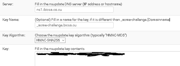 1_1549481412218_Screenshot_2019-02-06 ns1 bicsa cu - Services Acme Certificate options Edit(1).png