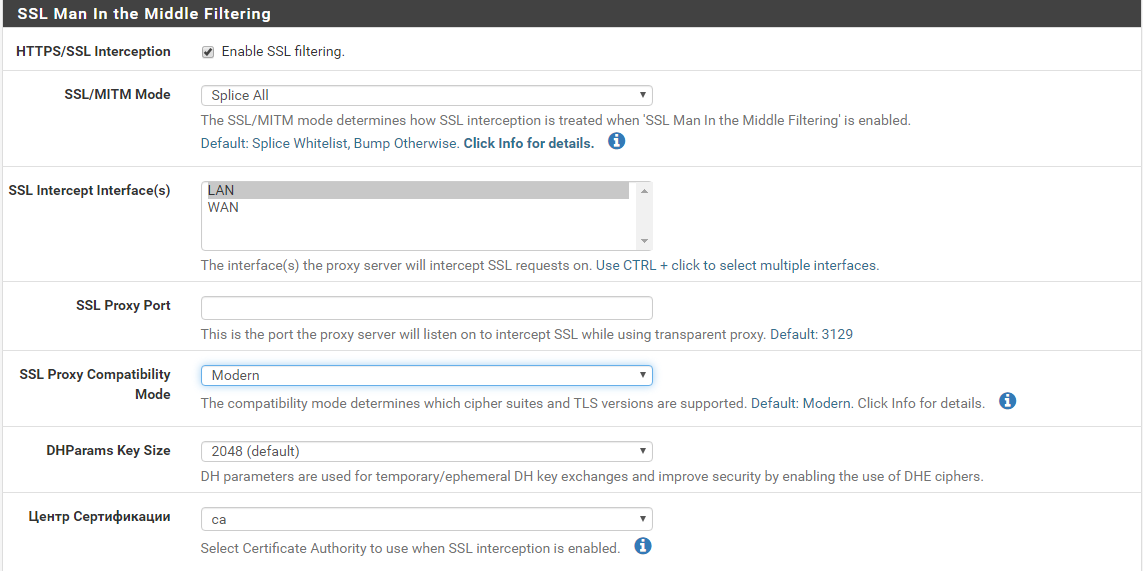 SSL Интерфейс. Squid web Интерфейс. SSL interface. Squid web gui.