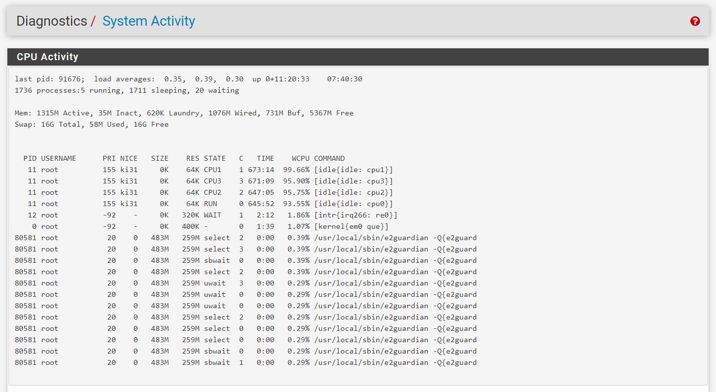 Pfsense E2guardian Activity.JPG