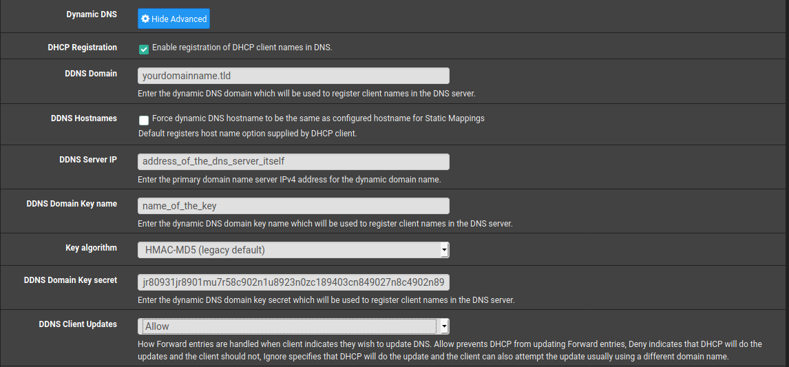 dyn updater dns addresses