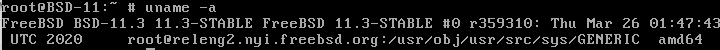 freebsd version.png