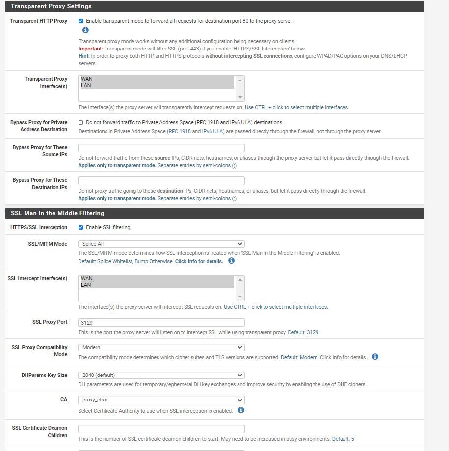 proxy_pfsense.JPG