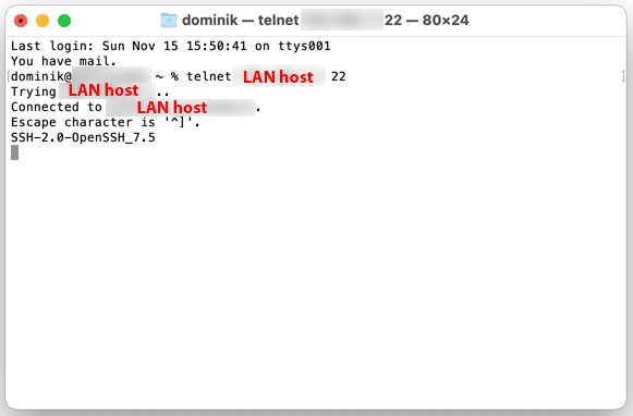 Screen Shot 2020-11-15 at 6.56.45 PM copy.png
