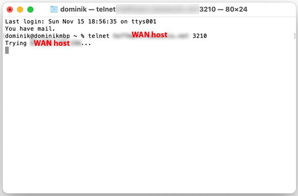 Screen Shot 2020-11-15 at 7.28.07 PM.png