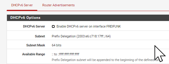 2021-02-18 14_26_15-Hitzeschild.steingaesser.net - Services_ DHCPv6 Server & RA_ FREIFUNK_ DHCPv6 Se.png