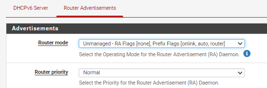 2021-02-18 14_26_33-Hitzeschild.steingaesser.net - Services_ DHCPv6 Server & RA_ FREIFUNK_ Router Ad.png