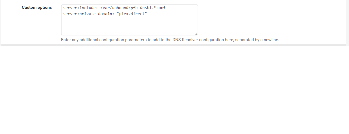 DNS Custom Options.png