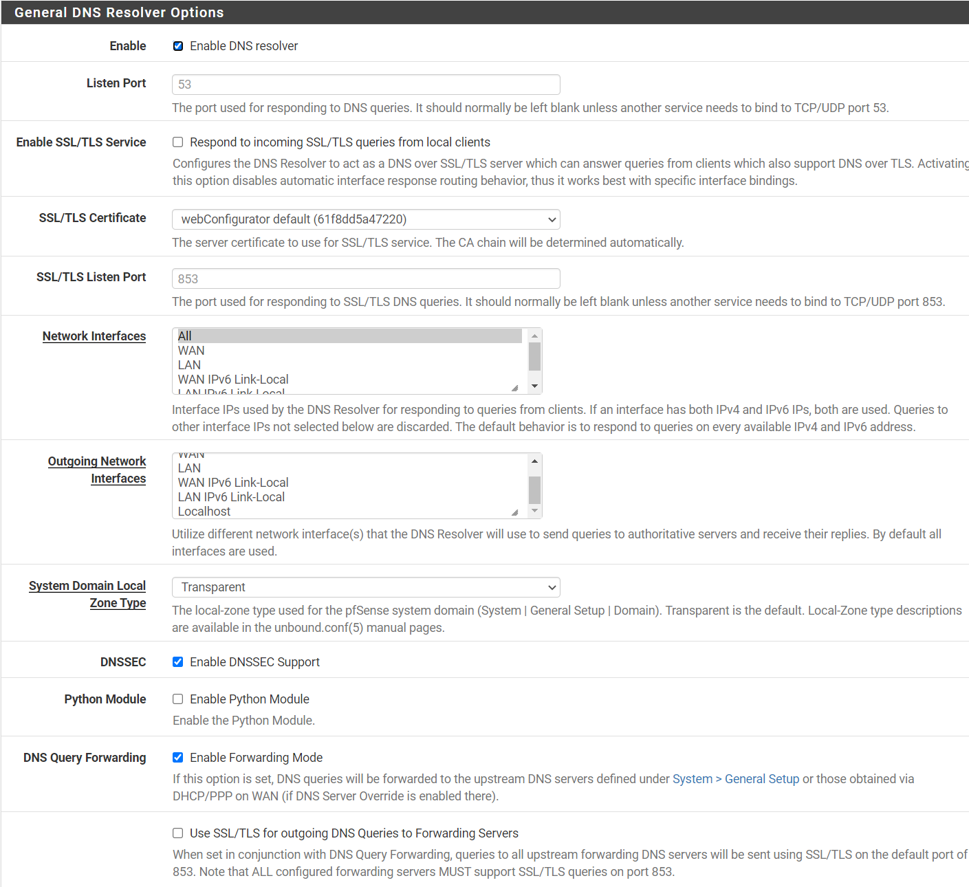 pfsense252dnsresolverCapture.PNG