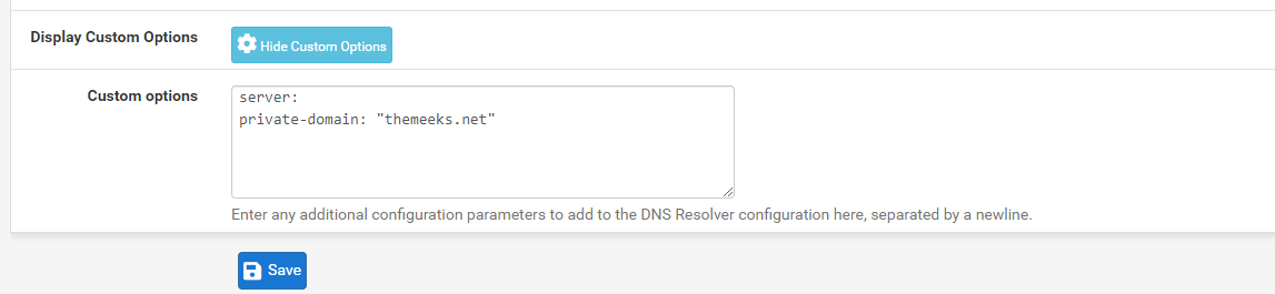 DNS-Custom-Setting.png