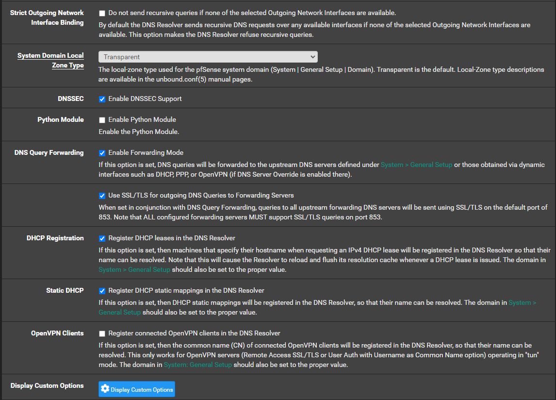 20220613_DNS_Resolver_Settings_1.png