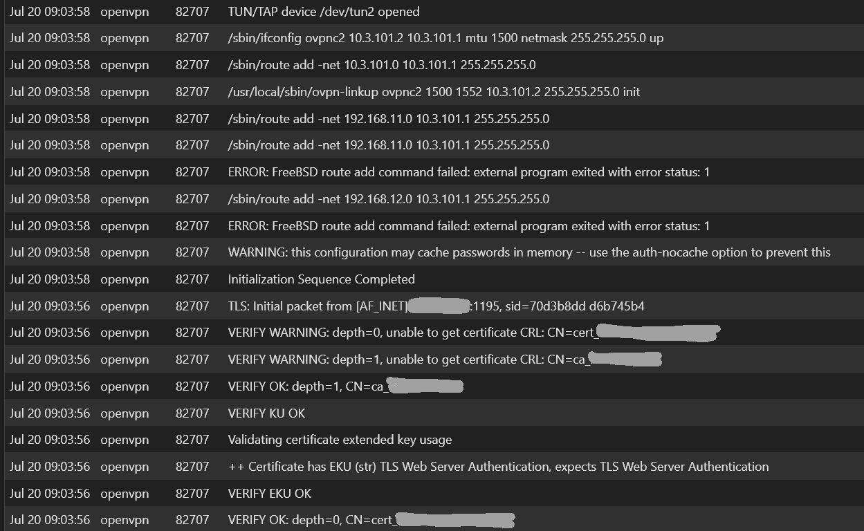 client OpenVPN Logs.jpg