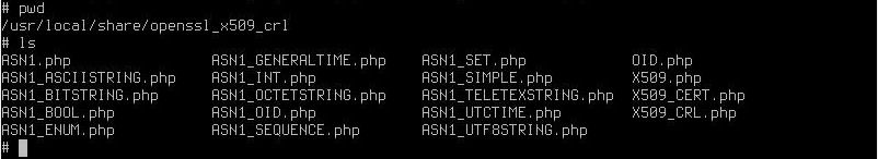 pfsense_22_09_ASN1_NULL_missing.png