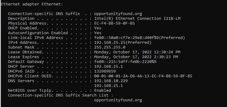Screenshot LAN25 ipconfig 2022-10-17 130548.png