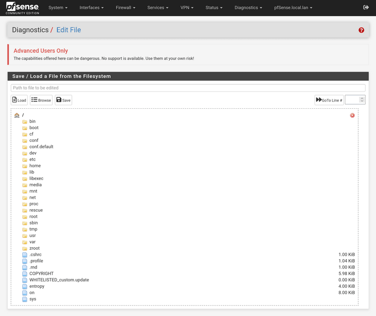 pfSense Diagnostics Edit File.png