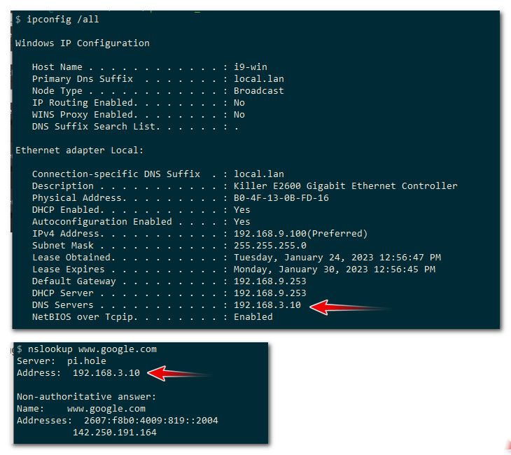 dns.jpg
