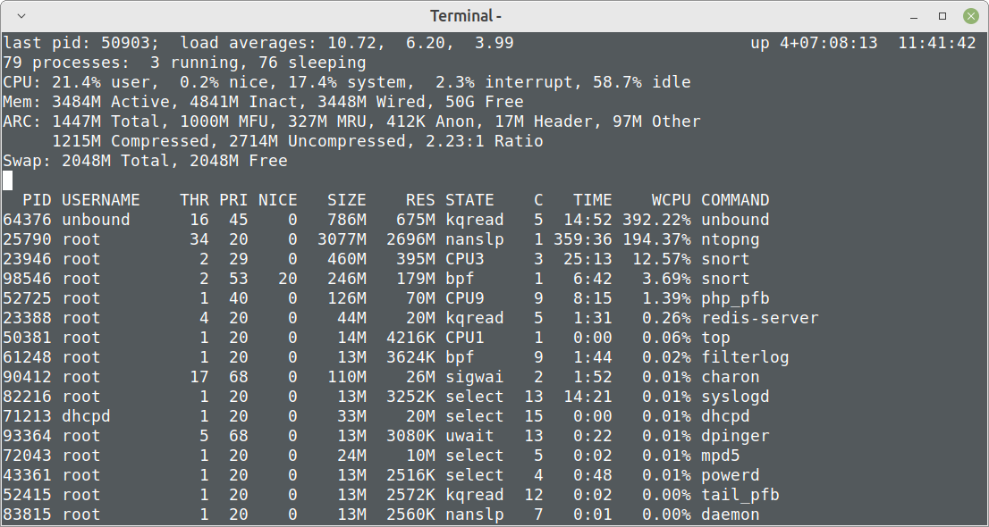 pfSense23.01_unbound_top3.png