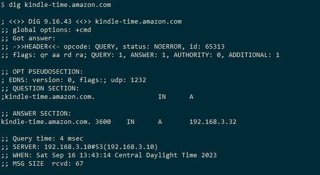 how-to-setup-local-domain-in-local-network-that-everyone-netgate-forum