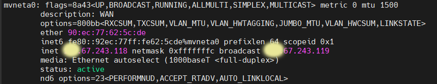 pfSense-ifconfig 2023-09-21 130220.png