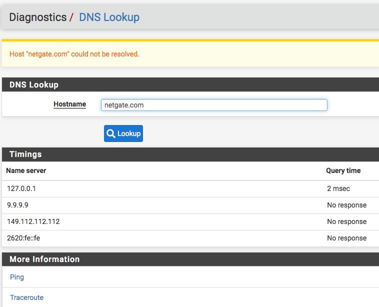 diagnostics:DNS lookup.jpeg