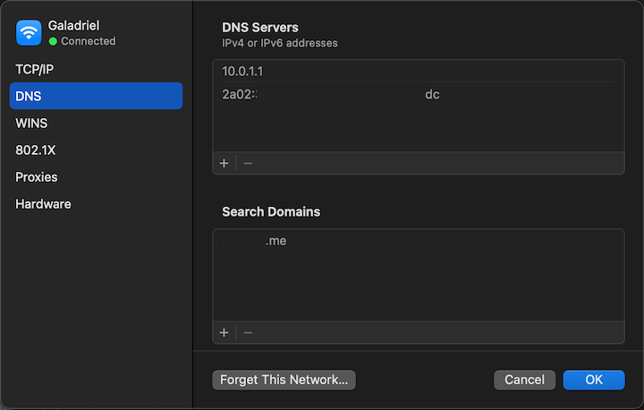 DNS Option Showing.png