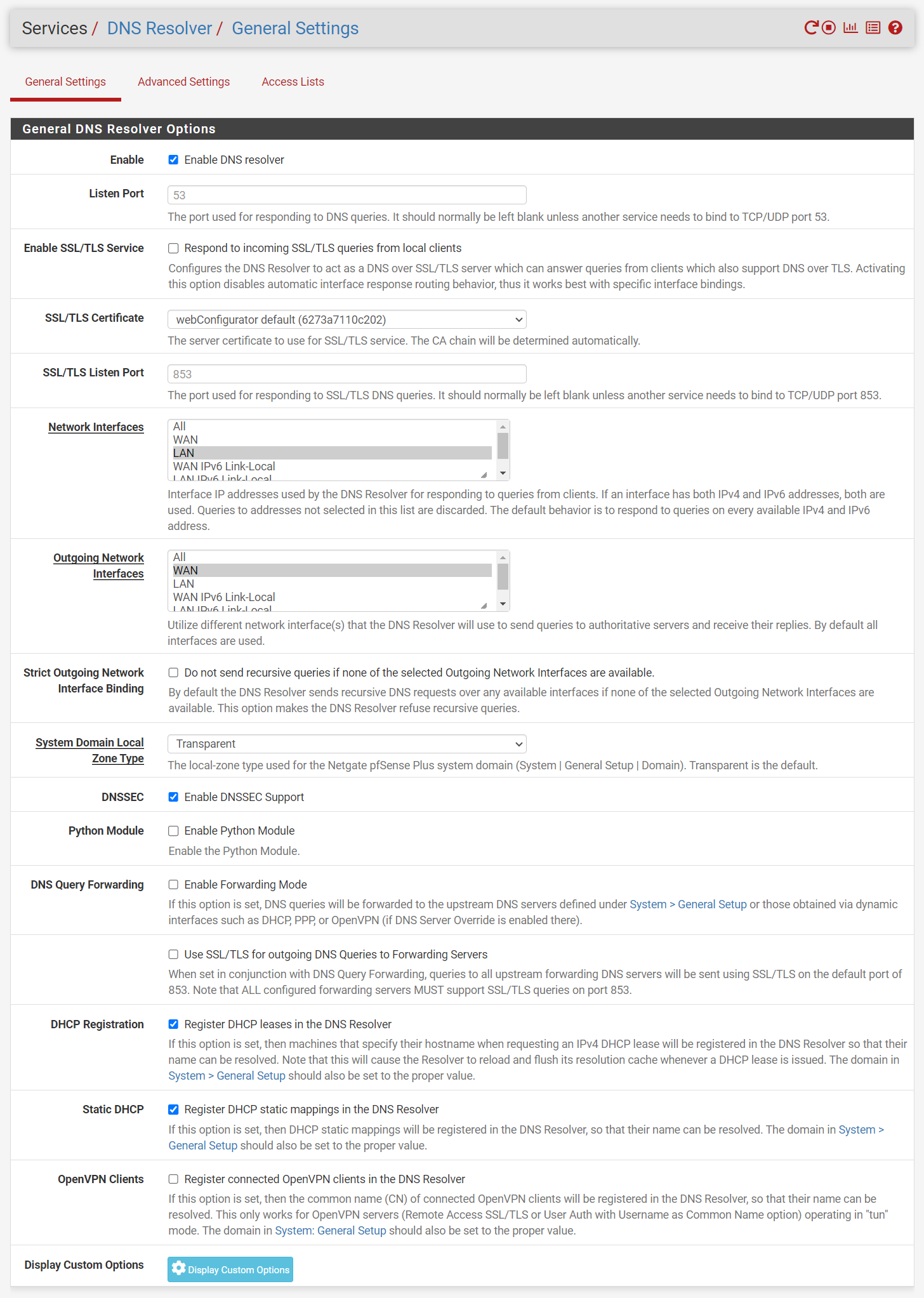 FireShot Pro Webpage Capture 278 - 'firewall.private.lan - Services_ DNS Resolver_ General Settings' - 192.168.1.1.png