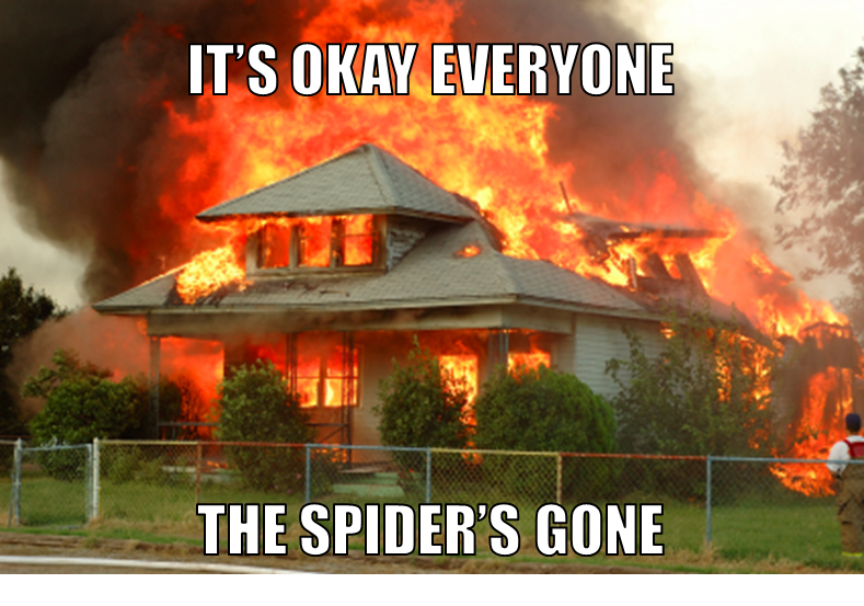 spider.png