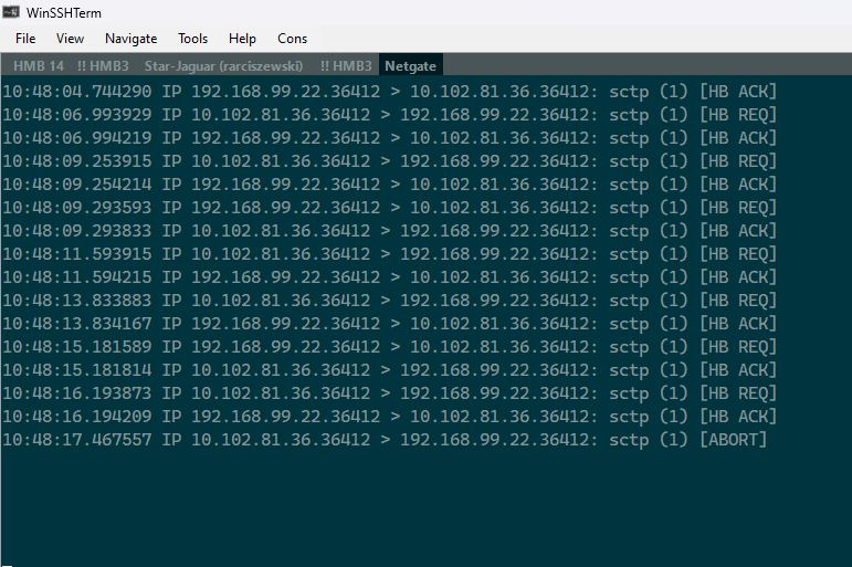 sctp_tcpdump_flow.png