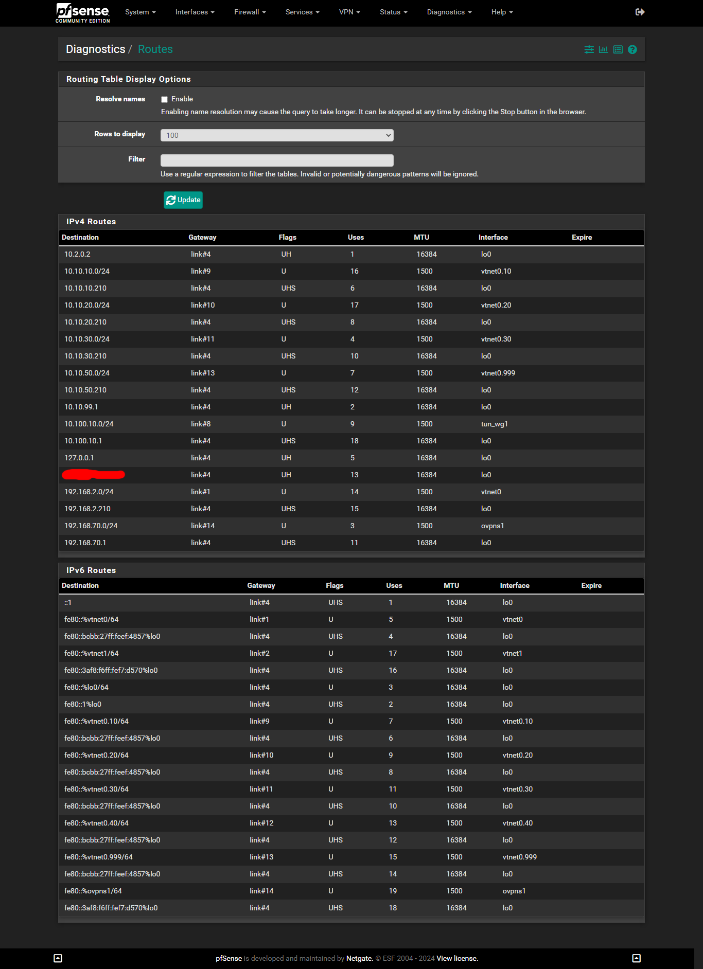 AFTER REBOOT-pfsense-diag-routes-php-2024-08-19-16_43_50.png