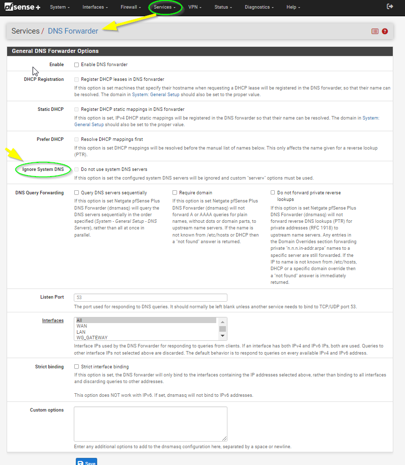ignore dns page.png