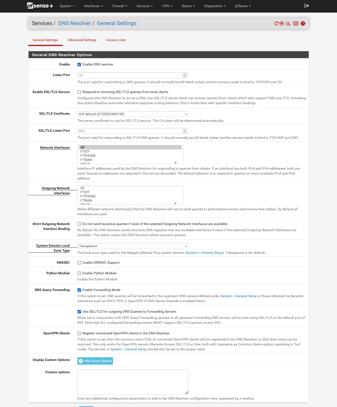 Screenshot 2025-01-27 at 14-41-54 pfSense.internal - Services DNS Resolver General Settings.png