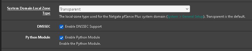 dns resolver.JPG