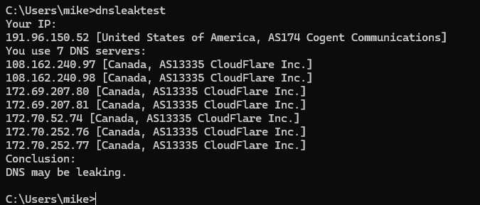 windows dns leaktest.png