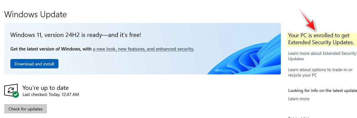 extended.jpg