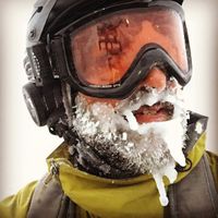jollyturns