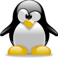 devnet